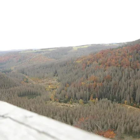 Penzion Haus Hohensee Clausthal-Zellerfeld