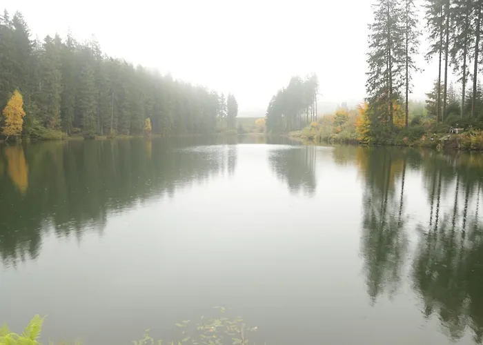 Gaestehaus Hohensee 3* Clausthal-Zellerfeld